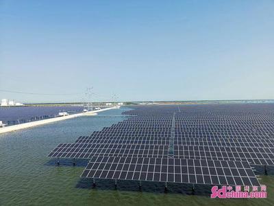 進農場走園區——外國Z世代青年體悟山東農業高質量發展新篇章